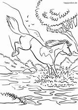 Fluss Pferd Tiere Malvorlage sketch template