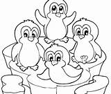 Penguin Coloring Pages Cartoon Kids Penguins Printable Cute Para Animal Colorear Winter Pinguino Sheets Print King Baby Puffle Clipart Adelie sketch template