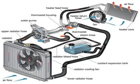 cooling system vw  engine parts diagram zartabkianna