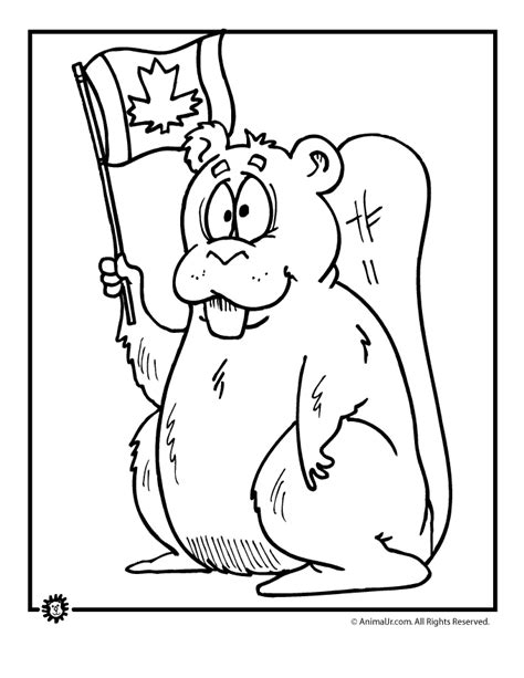 animal jr proud canada beaver coloring page