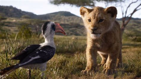 the lion king review disney s photorealistic remake is a disaster