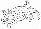 Lizard Coloring Pages Horned Drawing Thorny Devil Outline Printable Draw Kids Cool2bkids Toad Drawings Easy Designlooter Paintingvalley Imagenes Choose Board sketch template