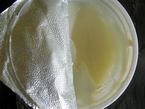 raw milk yogurt on steroids the elliott homestead