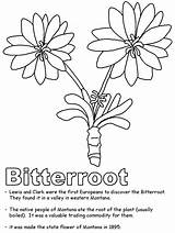 Bitterroot Coloring Montana Pages 2160 Subtitles Stream Popular Geography Ws Kidzone Usa sketch template