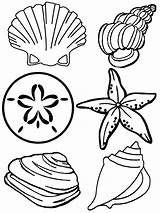 Coloring Pages Scallop Choose Board sketch template