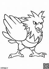 Spearow Colorings Cc Consent Coloring sketch template