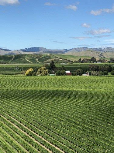 marlborough  big   good brancott estate deutz