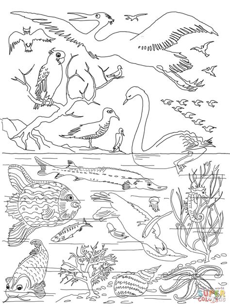 creation day  coloring page sketch coloring page
