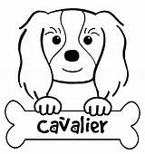 Cavalier Spaniel Daycoloring sketch template