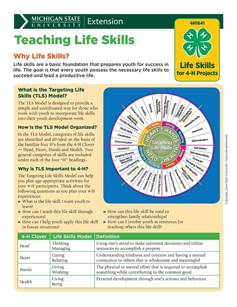 4 h life skills sheets 4h1641 msu extension