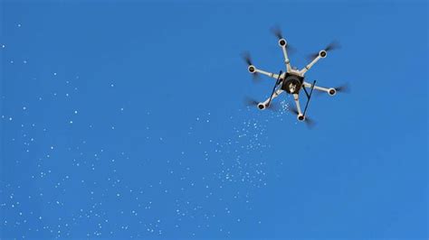 drone techs  big target insect pest management grain central