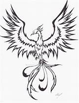 Phoenix Drawing Drawings Bird Tattoo Line Rising Simple Realistic Coloring Ashes Dessin Draw Deviantart Easy Tattoos Tatouage Tribal Pheonix Bing sketch template
