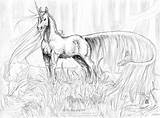 Coloring Pages Realistic Unicorn Pegasus Popular sketch template