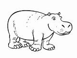 Hippo Coloring Pages Hippopotamus Drawing Line Outline Printable Getdrawings Kids Results sketch template