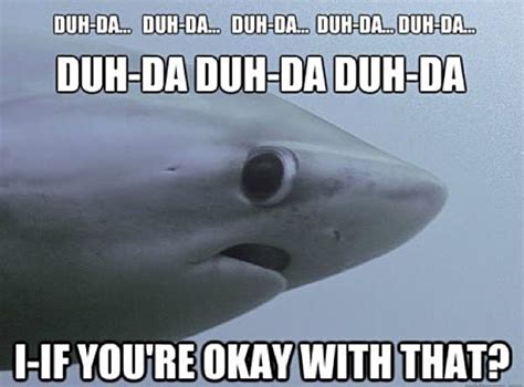 shark week quotes quotesgram