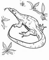 Dragon Komodo Coloring Drawing Pages Fish Lizard Getdrawings Choose Board sketch template