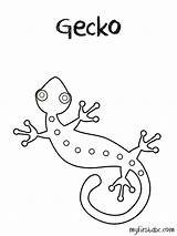 Gecko Coloring Pages Printable Leopard Clipart Lizard Template Drawing Library Color Getdrawings Getcolorings Popular 05kb sketch template
