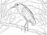 Heron Crowned Printable sketch template