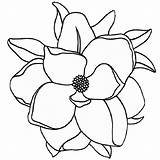 Magnolia Bestcoloringpagesforkids sketch template