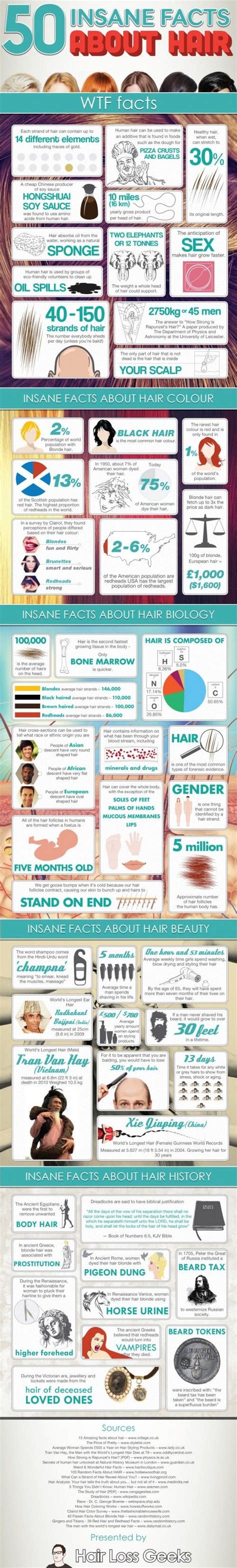 insane facts  hair infographic hair facts  hair