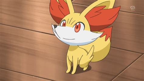 24 Amazing And Interesting Facts About Fennekin From