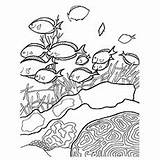 Coloring Pages Bahamas Coral Getdrawings sketch template