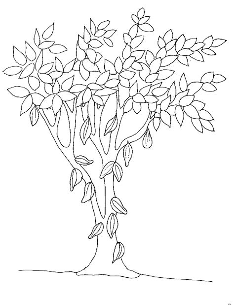 tree  nature  printable coloring pages