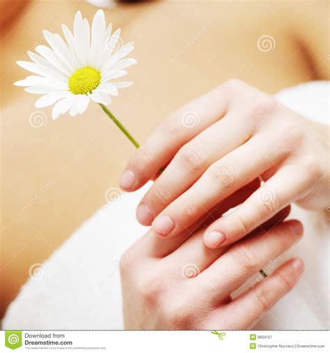 spa flower stock image image  fingers lifestyle healthy