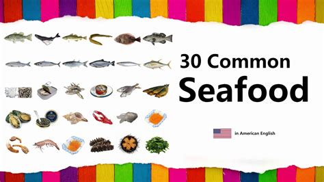 learn seafood  english  common names  spelling youtube