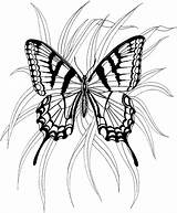 Animaux Papillon Purplekittyyarns Butterflies Coloriages sketch template
