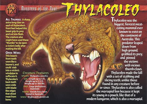 thylacoleo weird  wild creatures wiki fandom