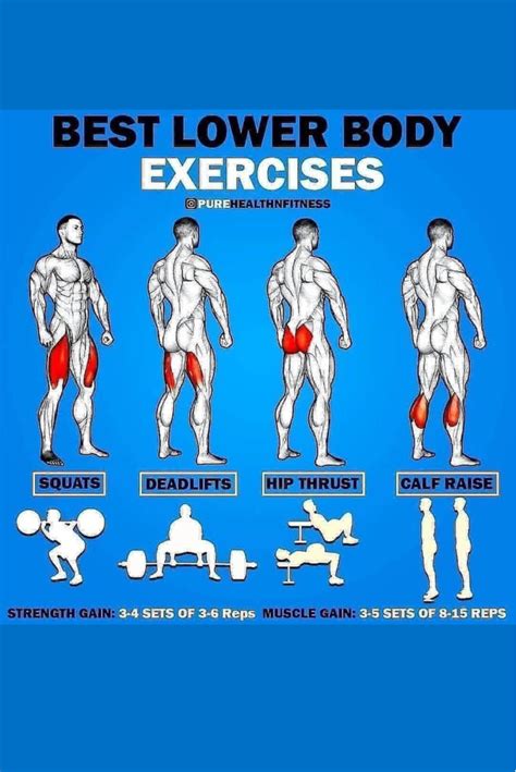 body exercises gym workouts  men  body workout