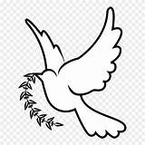 Doves Christianity Columbidae Clipground Kindpng sketch template