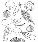 Mewarnai Sayuran Paud Sayur Kanalmu sketch template