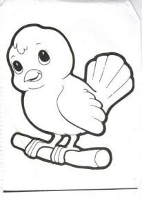 bird pages  preschoolers coloring pages