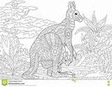Zentangle Gestileerde Kangoeroe sketch template