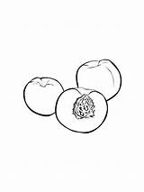 Coloring Peach Pages Fruits Recommended Color Kids sketch template