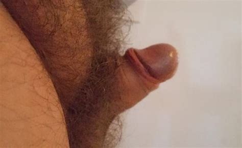normal flaccid cock