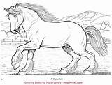 Coloring Horses Wonderful Book Hoofprints Unit Price sketch template