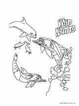 Kratts Wild Coloring Pages Printable Kids Dolphins Dolphin Adults Color Print Choose Board Popular Cartoons sketch template