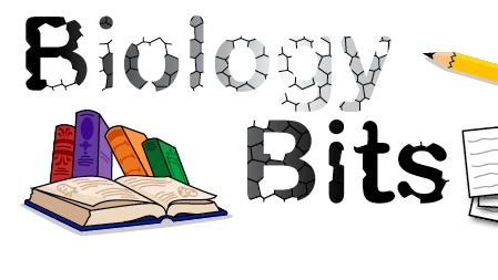 biologist biomes bits scitech institute