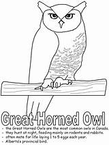 Owl Horned Alberta Owls Kidzone Ws sketch template