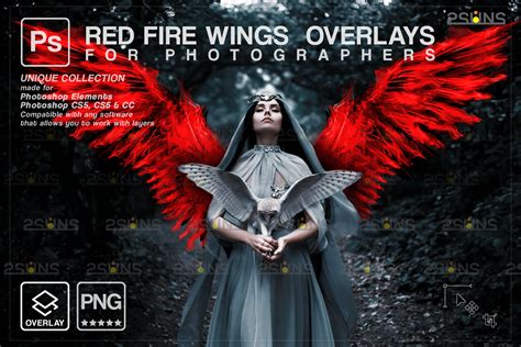 digital angel wings photoshop overlay digital backdrops wings
