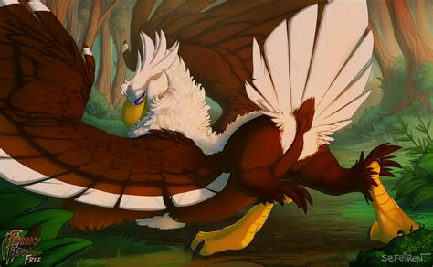female gryphon portfolio preview 1 by sefeiren frisky ferals sorted by position luscious