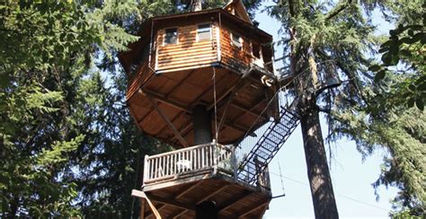 treehouse hotels offer luxurious arboreal escapes  saturday evening post