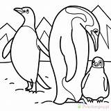 Pingwin Kolorowanki Dzieci Wydruku Wydrukowania sketch template