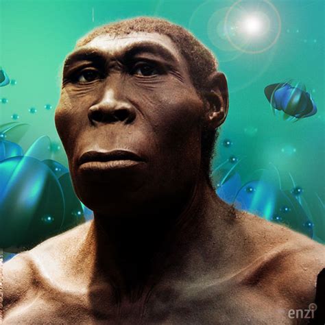 homo heidelbergensis junglekey fr image