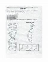  sketch template