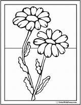 Daisy Coloring Pages Flower Glass Painting Flowers Colouring Outline Spring Designs Colorwithfuzzy Paint Cute Choose Board sketch template