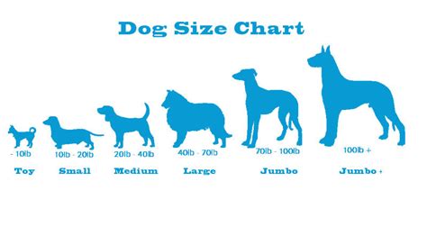 size chart  dogs